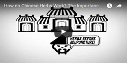 How do Chinese herbs work?